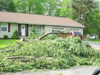 2011: Storm Aftermath - May 28, 2011